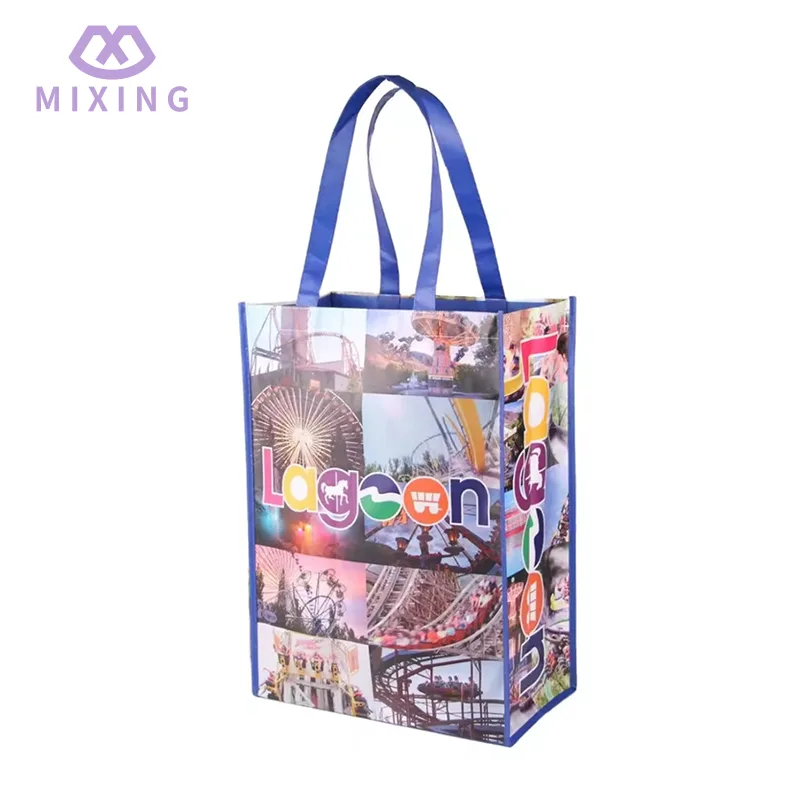PP Woven Grocery Shopping Bag PP Woven Grocery Shopping Bag